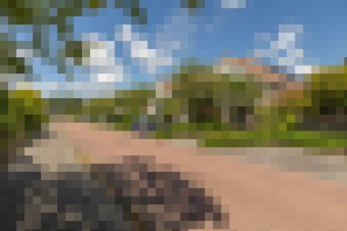 Rode Lynx 6 Heerhugowaard thumbnail 44