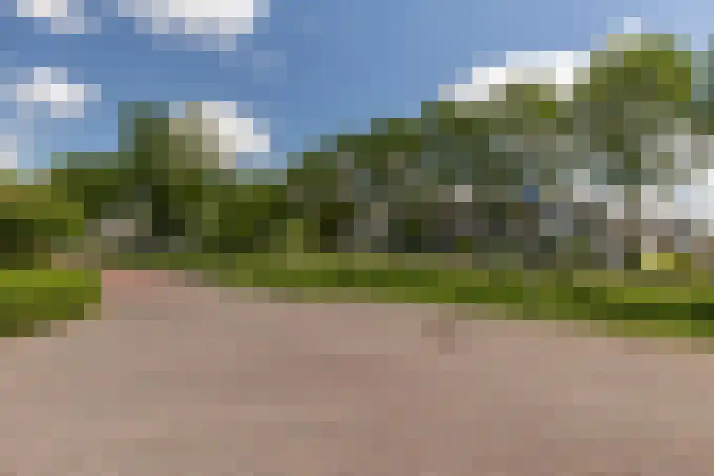 Rode Lynx 6 Heerhugowaard thumbnail 45