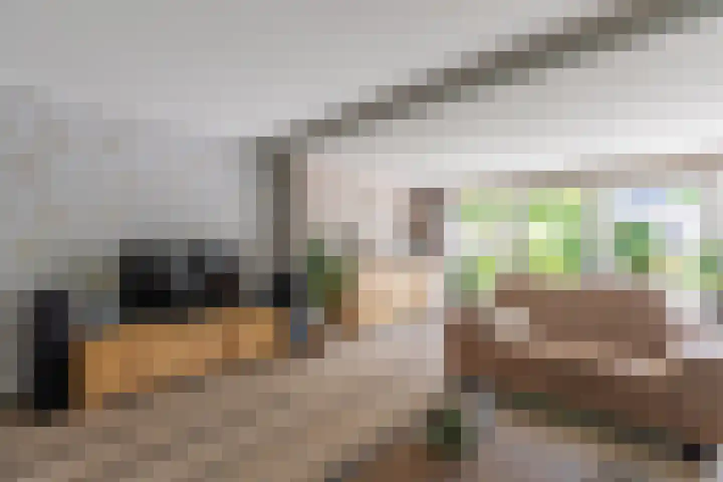 Rode Lynx 6 Heerhugowaard thumbnail 7