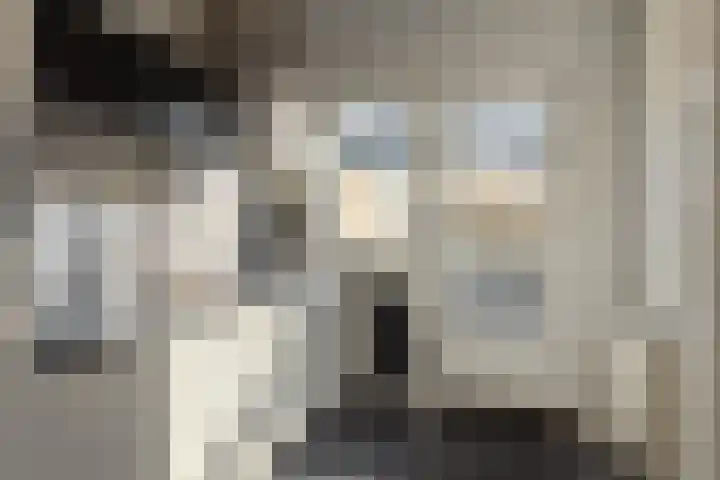 Rode Molenstraat 11 Joure thumbnail 12