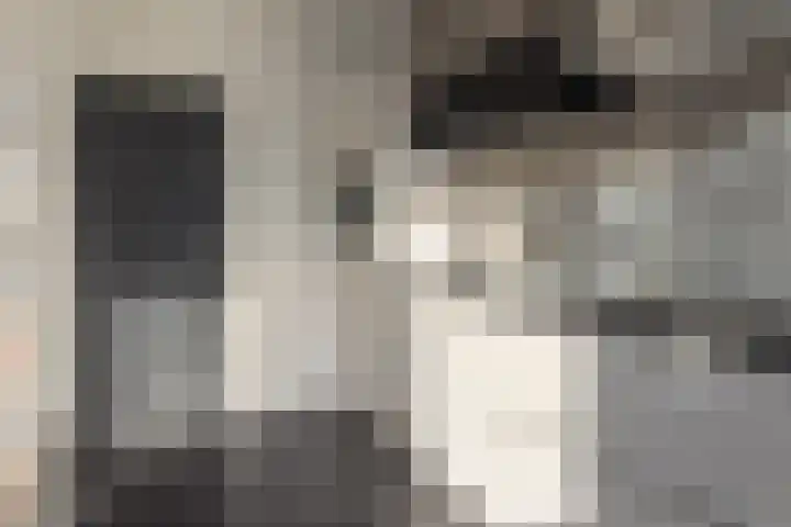 Rode Molenstraat 11 Joure thumbnail 13