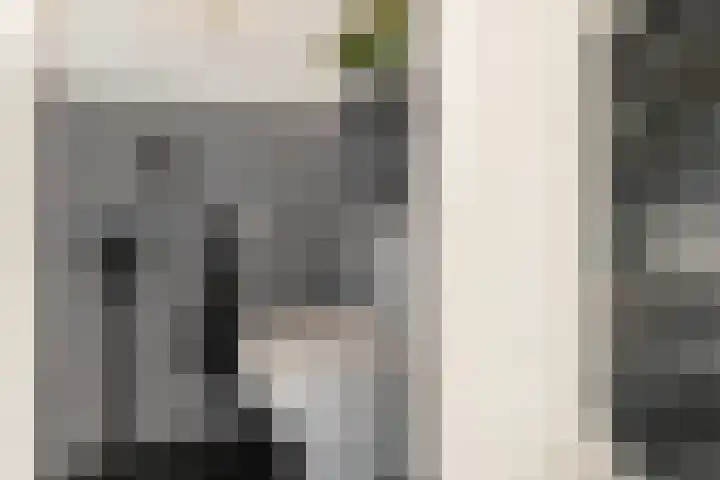 Rode Molenstraat 11 Joure thumbnail 15