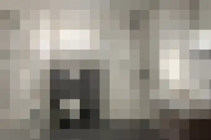 Rode Molenstraat 11 Joure thumbnail 21