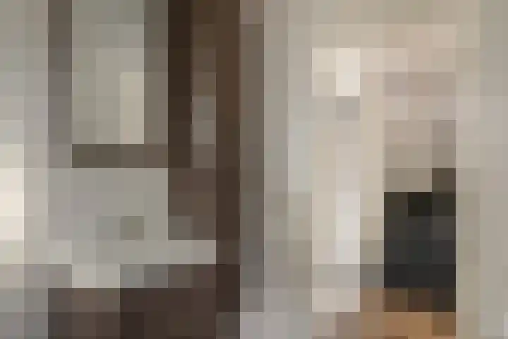 Rode Molenstraat 11 Joure thumbnail 22