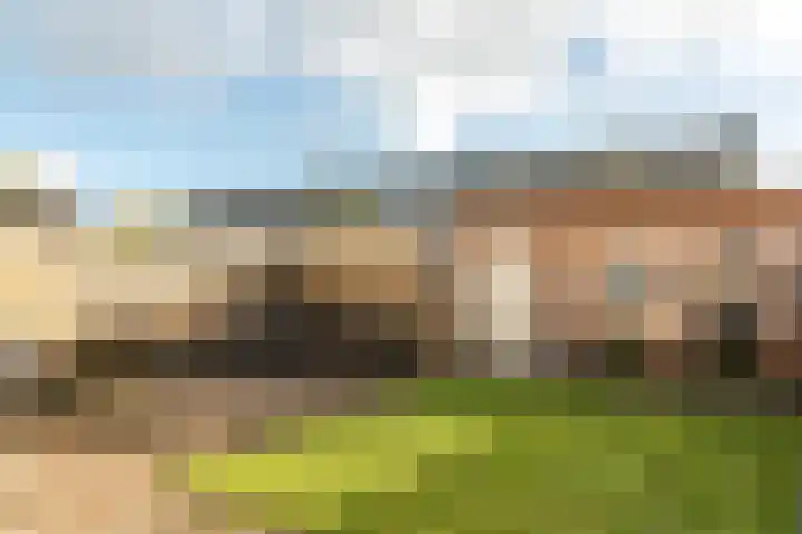 Rode Molenstraat 11 Joure thumbnail 25