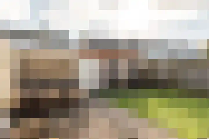 Rode Molenstraat 11 Joure thumbnail 26