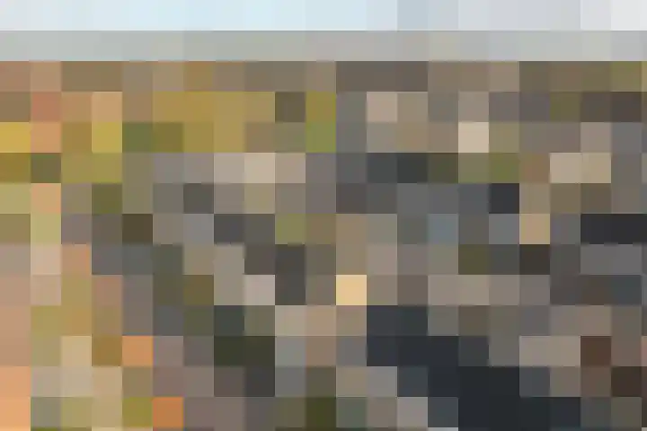 Rode Molenstraat 11 Joure thumbnail 29