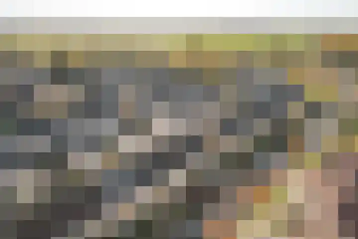 Rode Molenstraat 11 Joure thumbnail 30