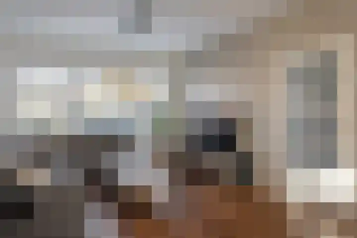 Rode Molenstraat 11 Joure thumbnail 7