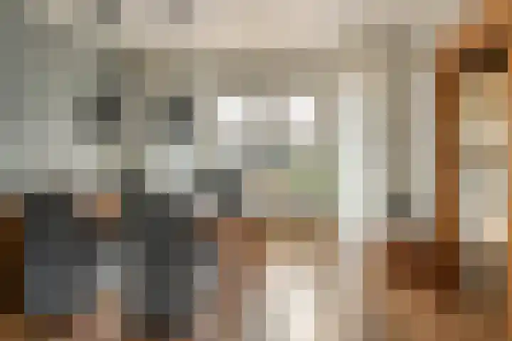 Rode Molenstraat 20 Joure thumbnail 10