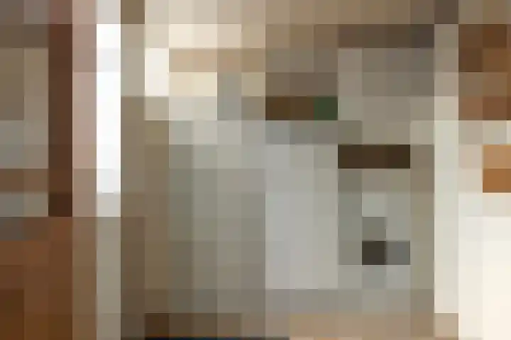 Rode Molenstraat 20 Joure thumbnail 13
