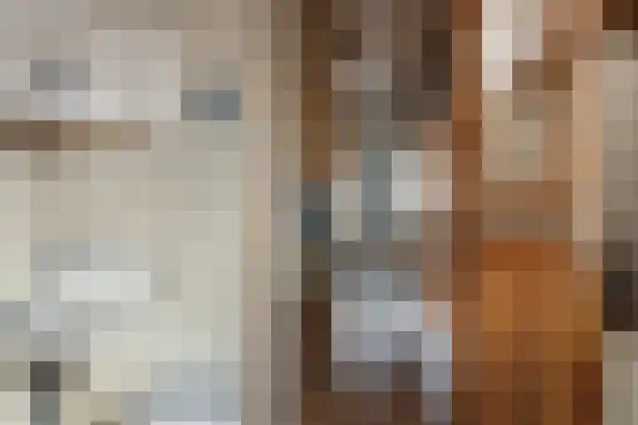 Rode Molenstraat 20 Joure thumbnail 14