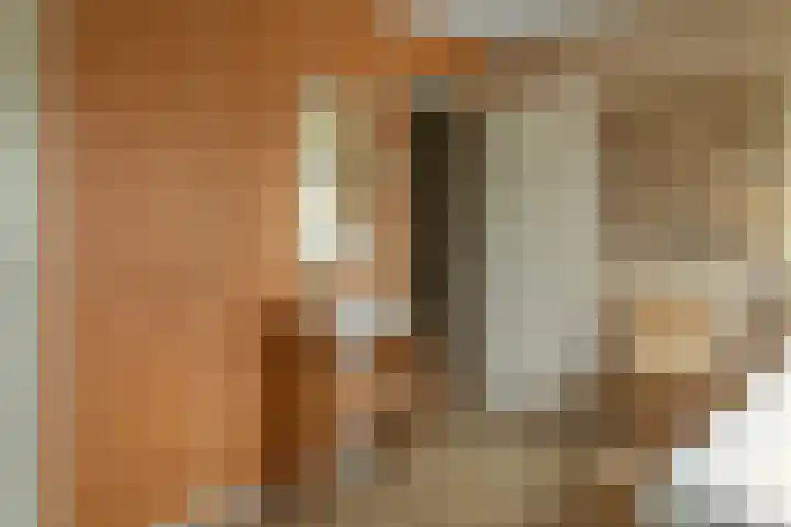 Rode Molenstraat 20 Joure thumbnail 21