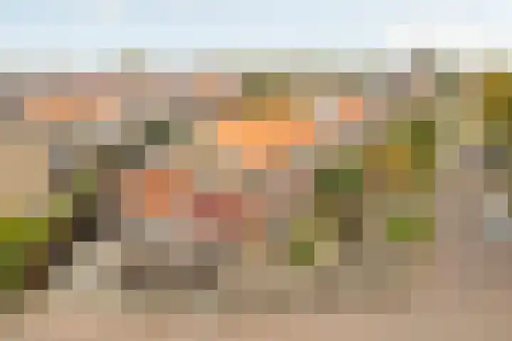 Rode Molenstraat 20 Joure thumbnail 39