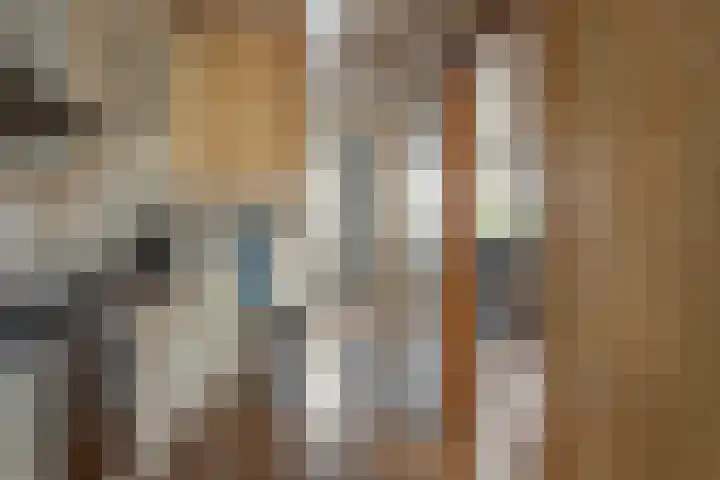 Rode Molenstraat 20 Joure thumbnail 6