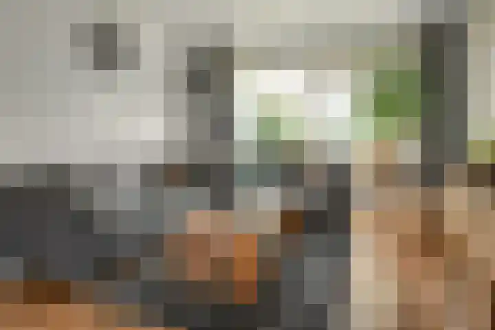 Rode Molenstraat 20 Joure thumbnail 7