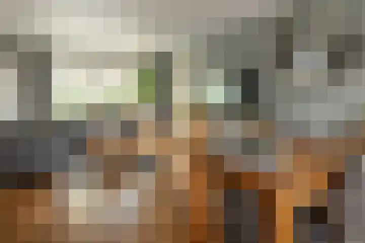 Rode Molenstraat 20 Joure thumbnail 8