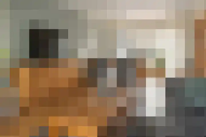Rode Molenstraat 20 Joure thumbnail 9