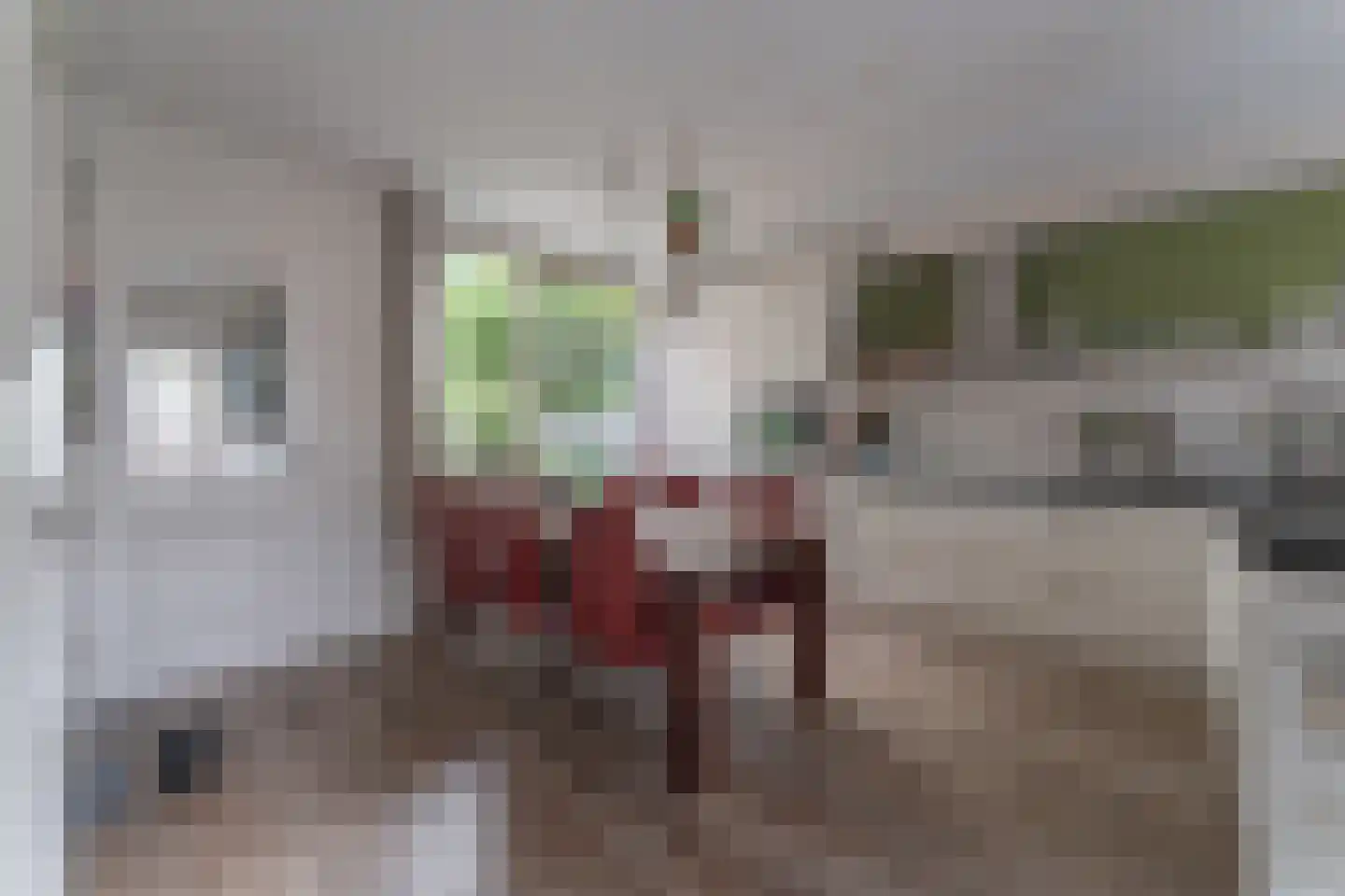 Rode Paard 28 Enkhuizen thumbnail 13