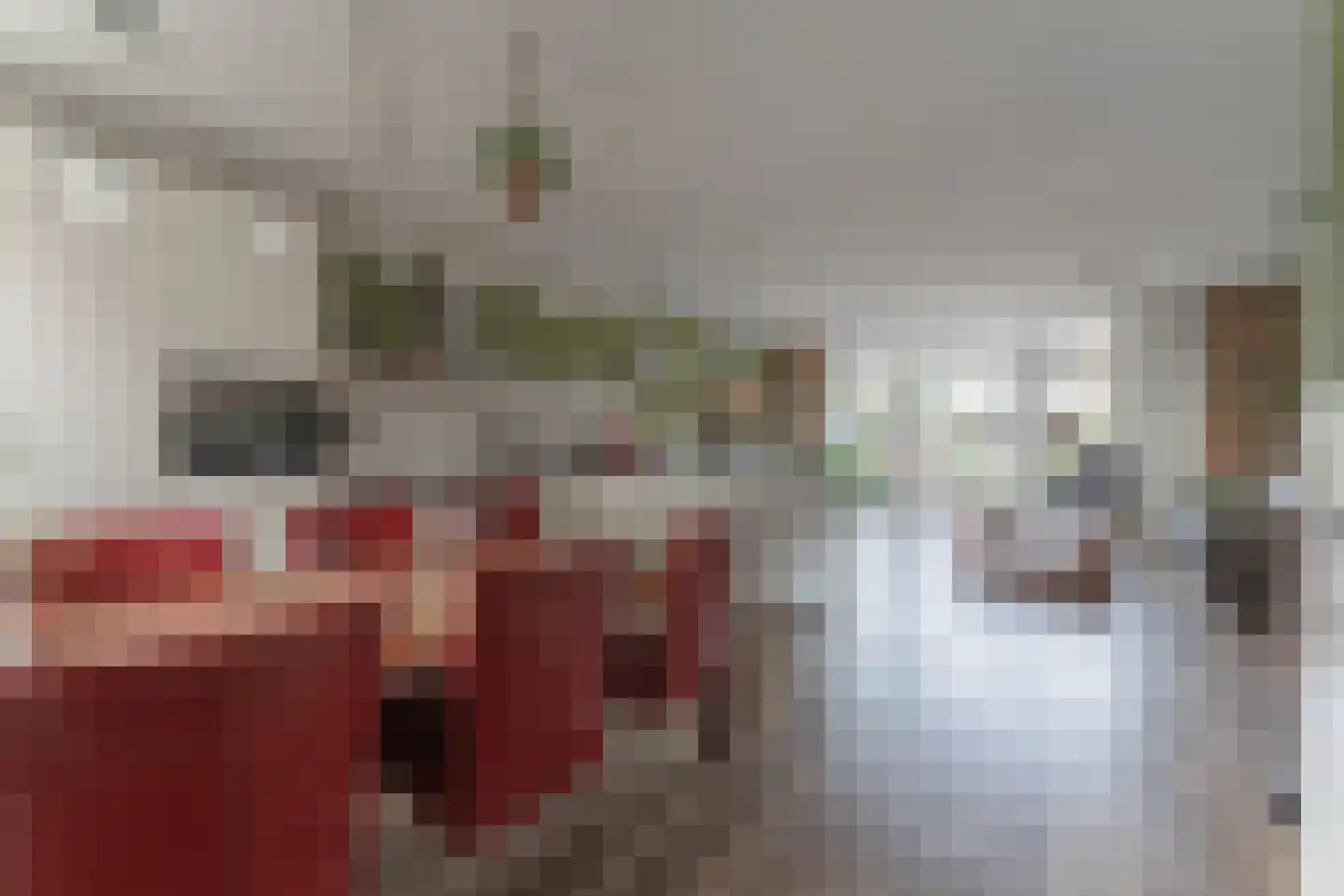 Rode Paard 28 Enkhuizen thumbnail 15