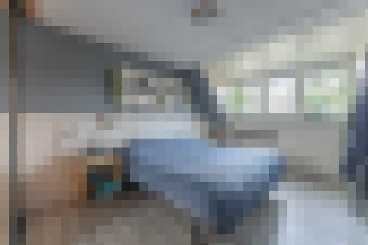 Rode Paard 28 Enkhuizen thumbnail 21