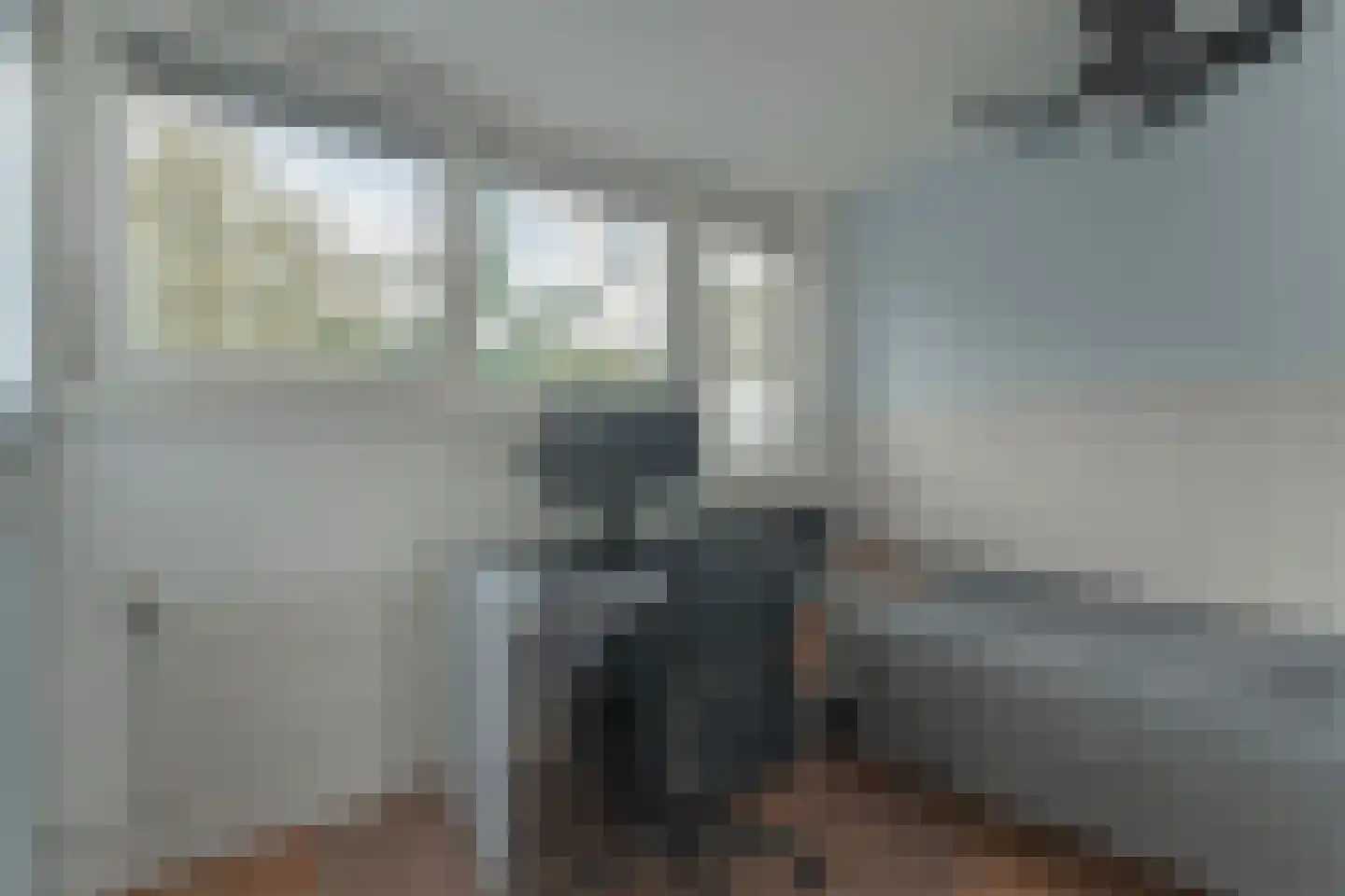 Rode Paard 28 Enkhuizen thumbnail 30