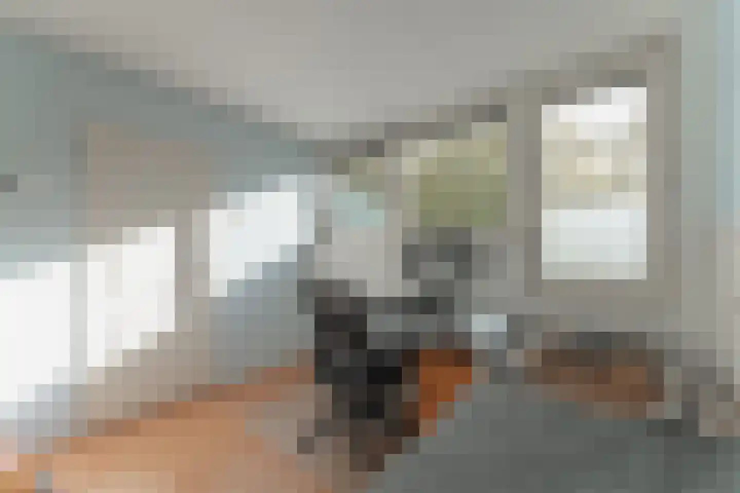 Rode Paard 28 Enkhuizen thumbnail 31