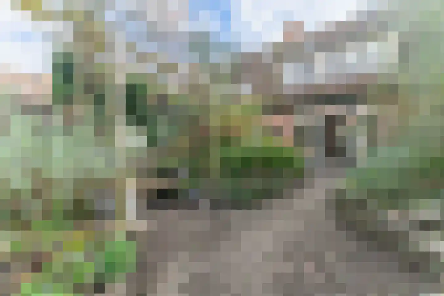 Rode Paard 28 Enkhuizen thumbnail 34