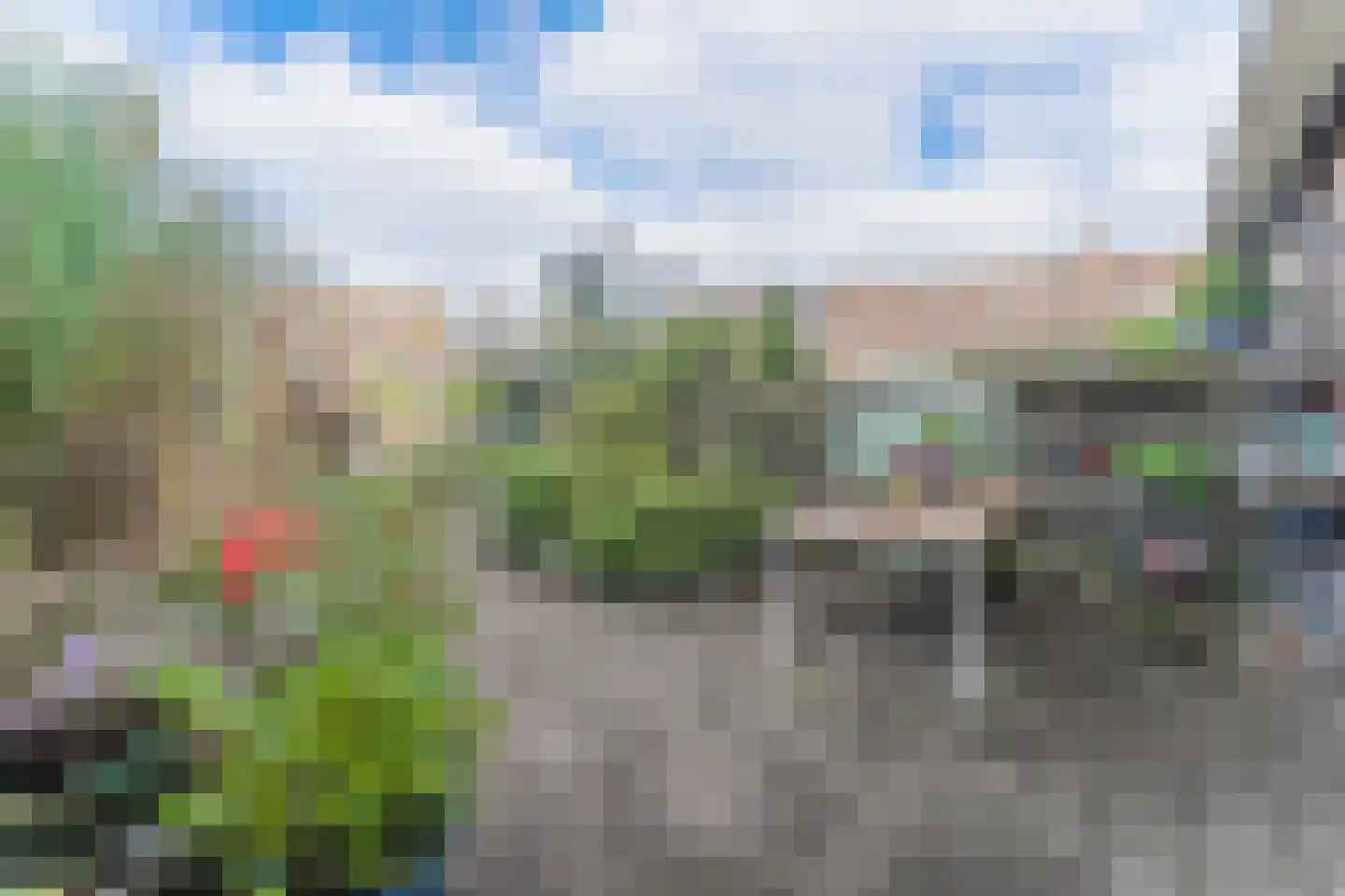 Rode Paard 28 Enkhuizen thumbnail 35