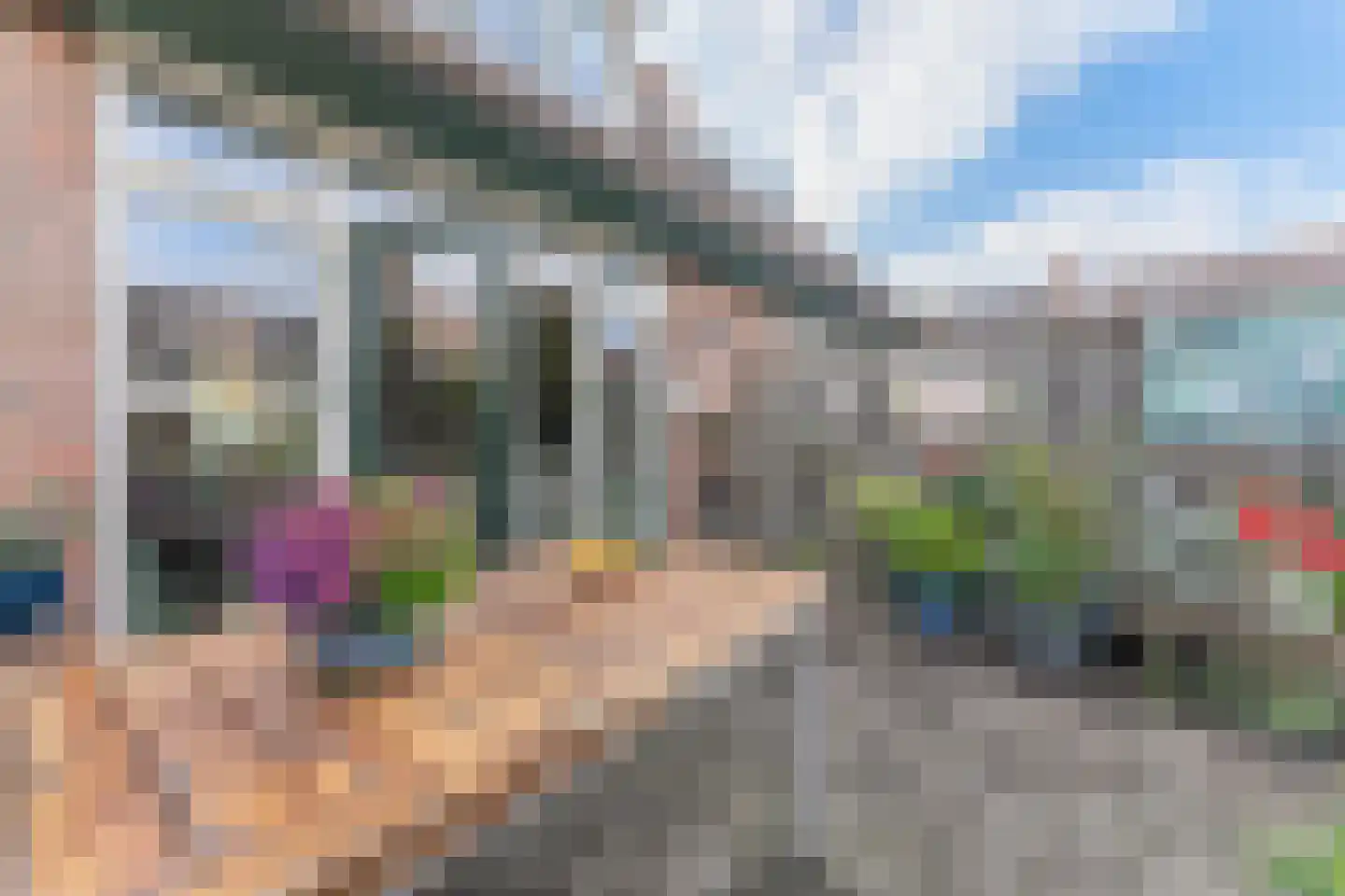 Rode Paard 28 Enkhuizen thumbnail 36