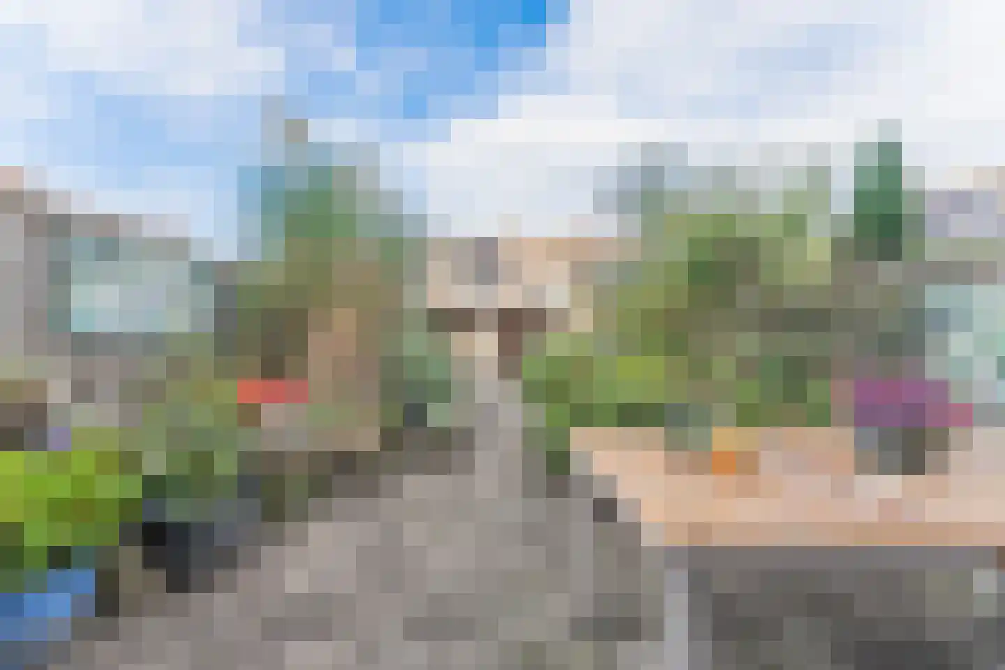 Rode Paard 28 Enkhuizen thumbnail 37