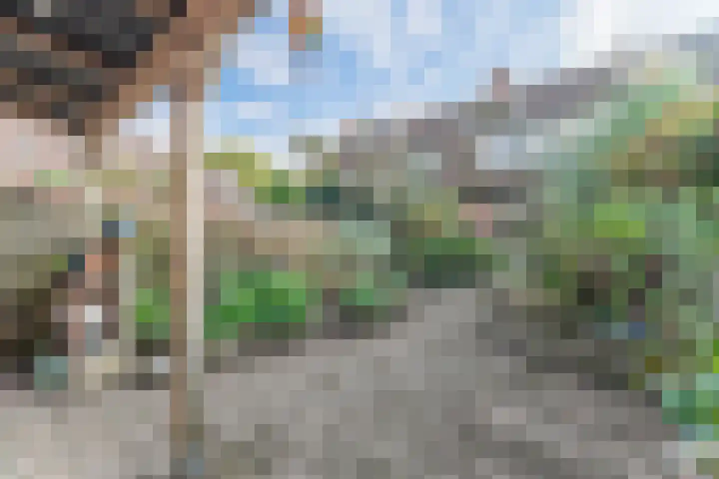 Rode Paard 28 Enkhuizen thumbnail 38