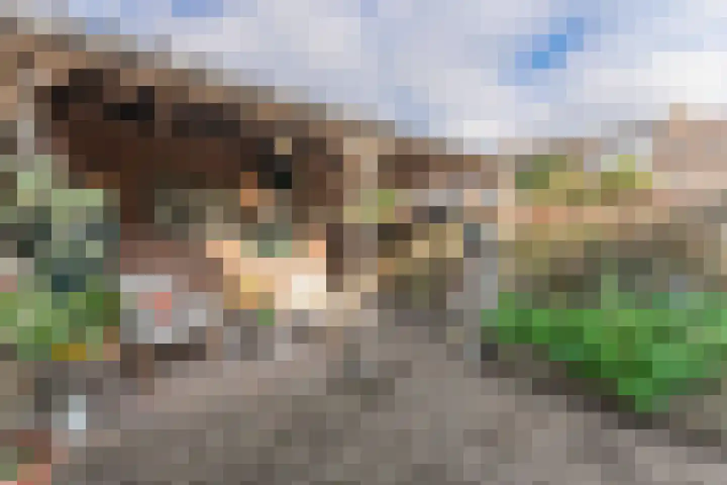 Rode Paard 28 Enkhuizen thumbnail 39