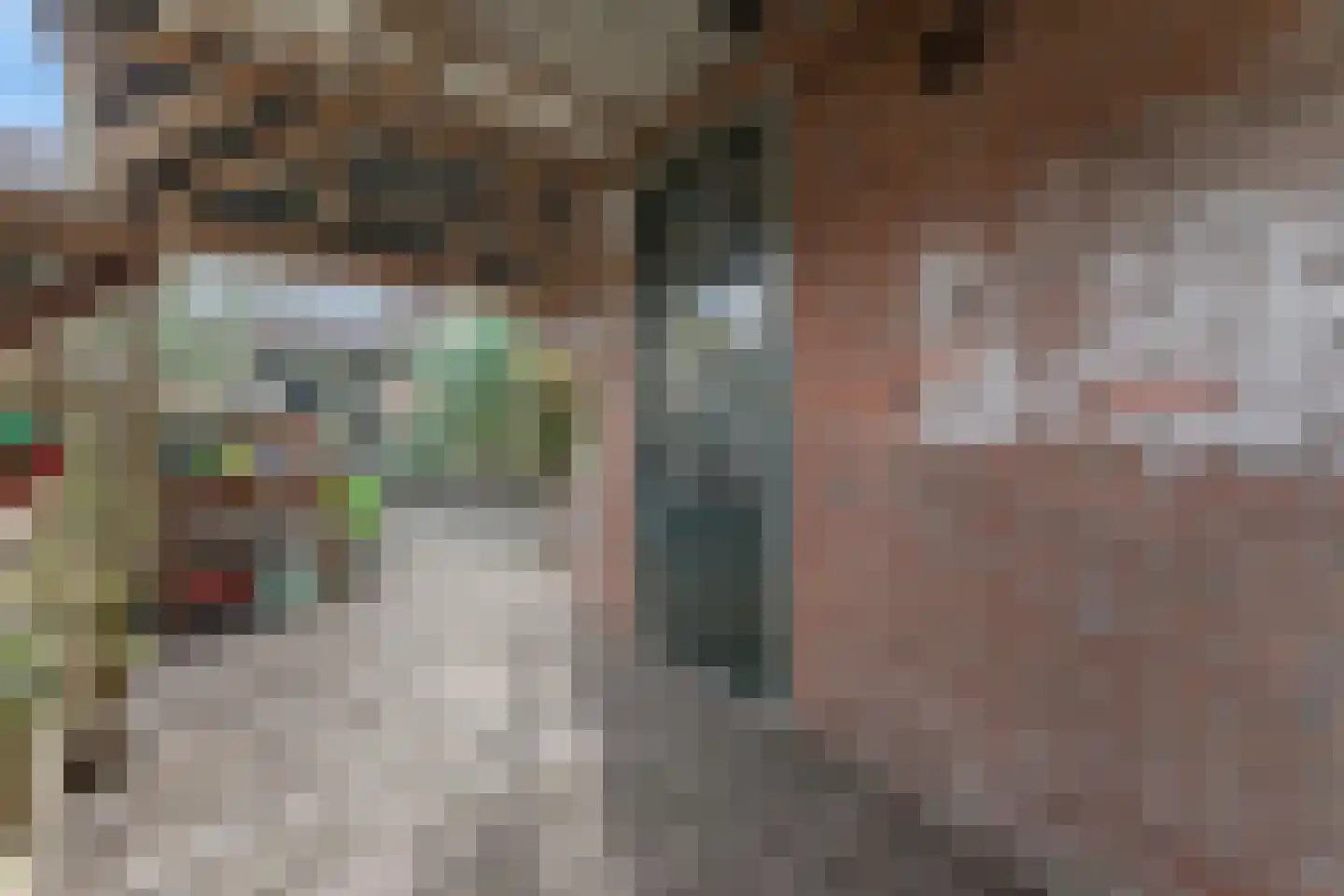 Rode Paard 28 Enkhuizen thumbnail 41