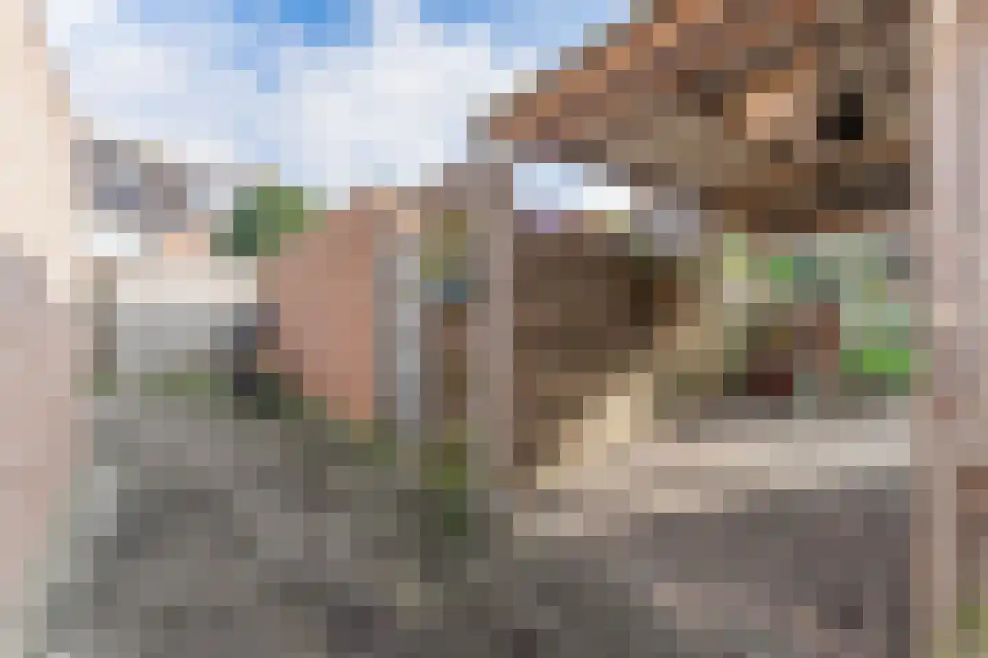 Rode Paard 28 Enkhuizen thumbnail 42