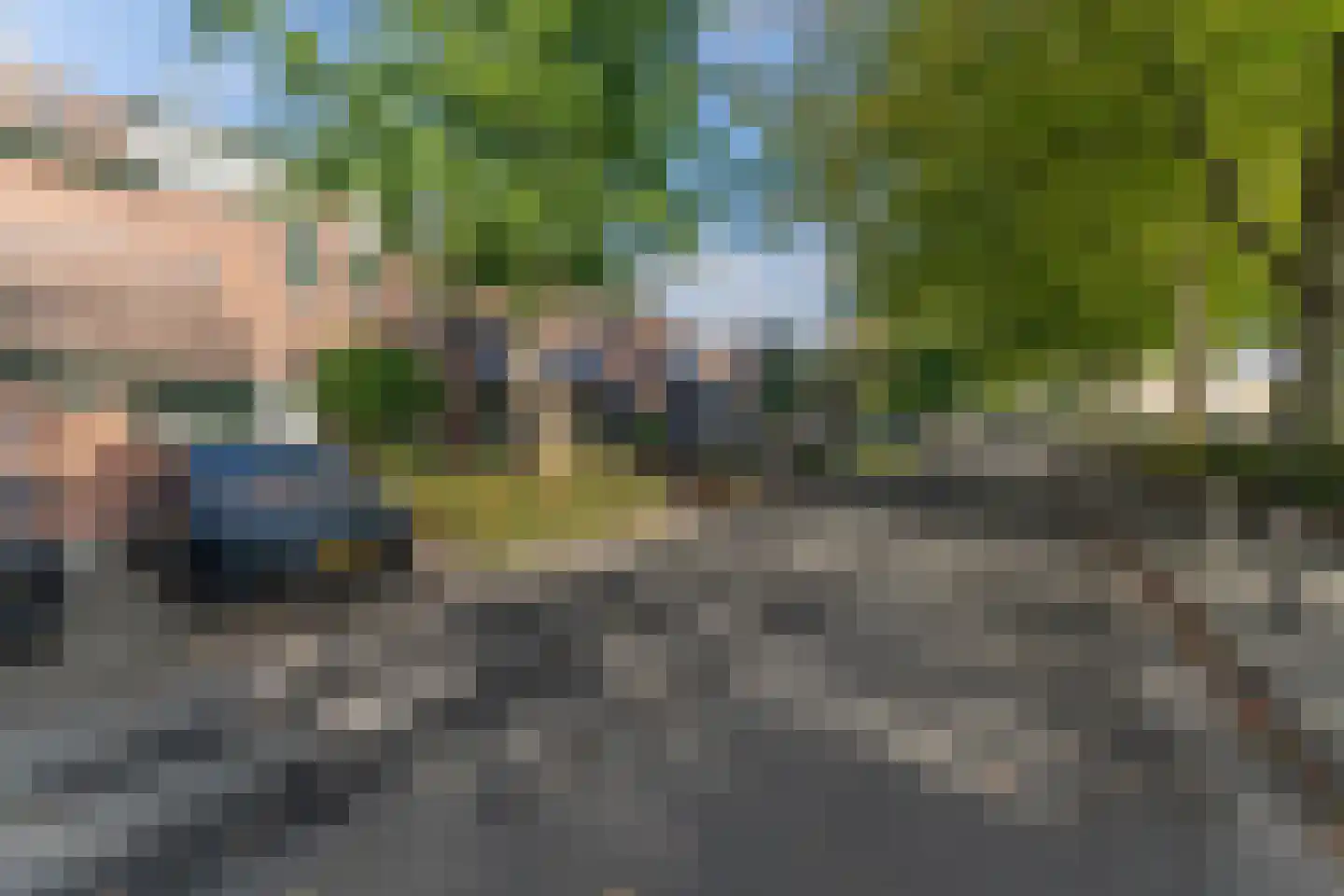 Rode Paard 28 Enkhuizen thumbnail 44
