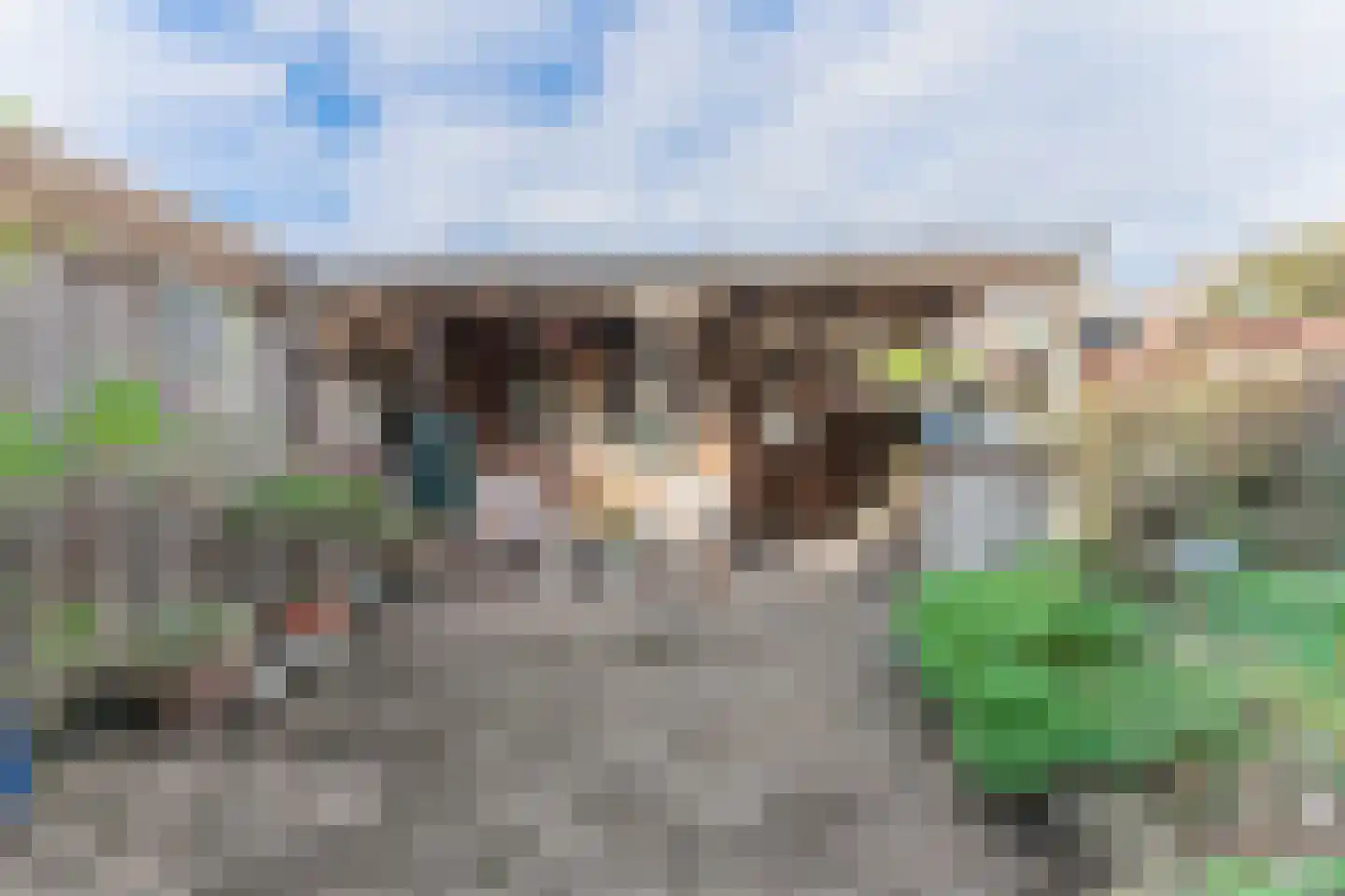 Rode Paard 28 Enkhuizen thumbnail 8