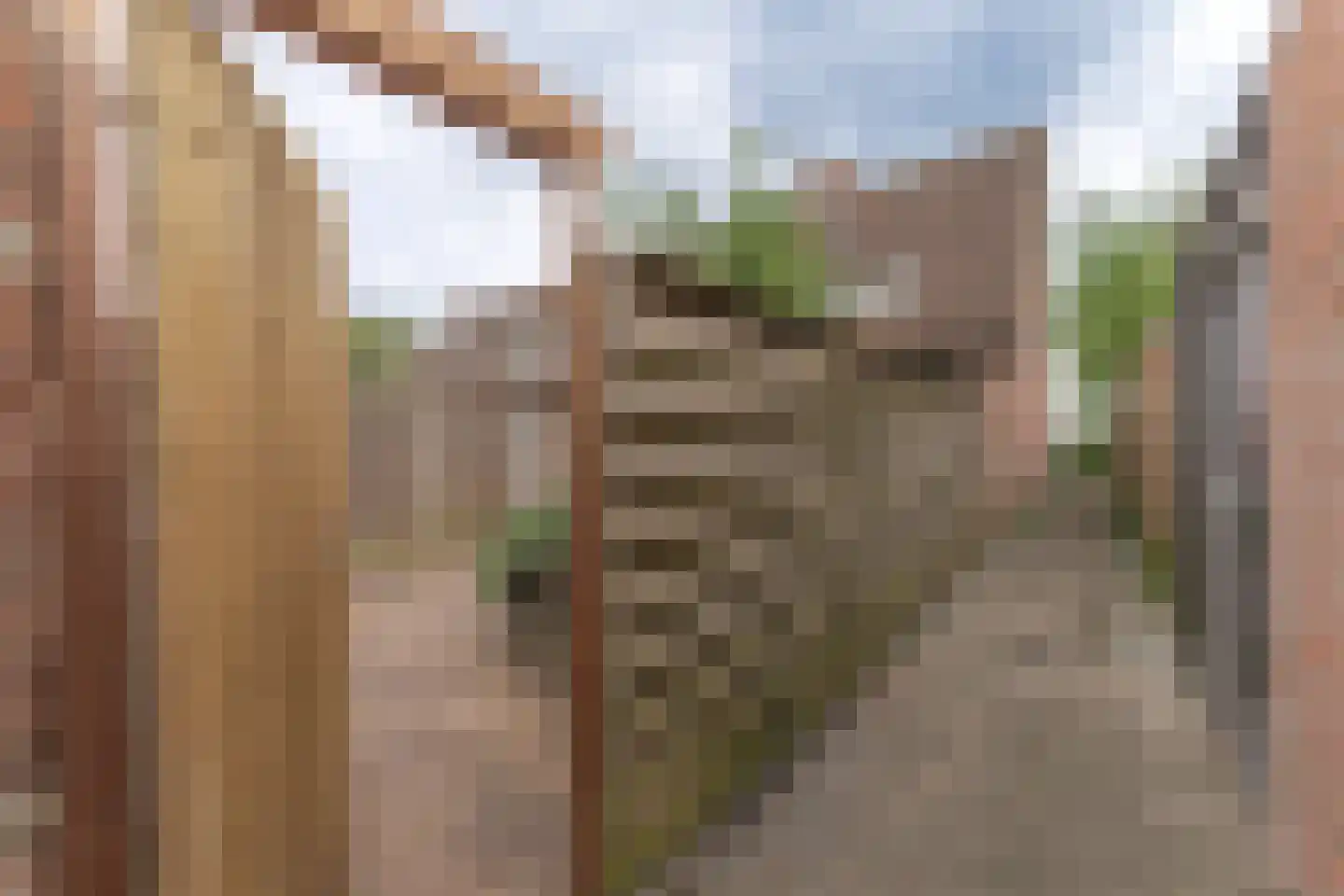 Rode Paard 32 Enkhuizen thumbnail 10