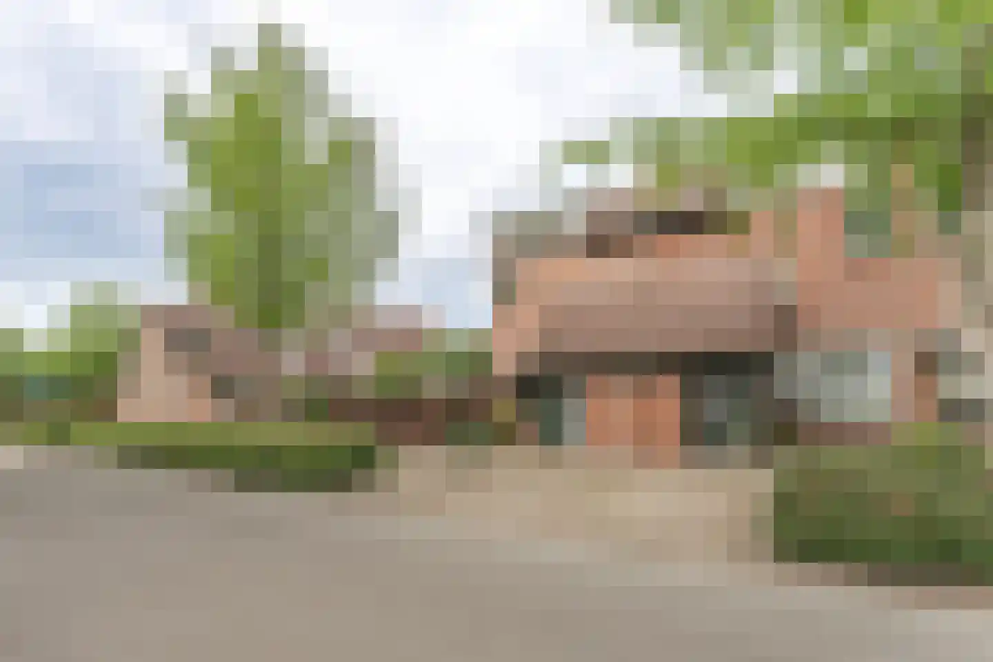 Rode Paard 32 Enkhuizen thumbnail 11