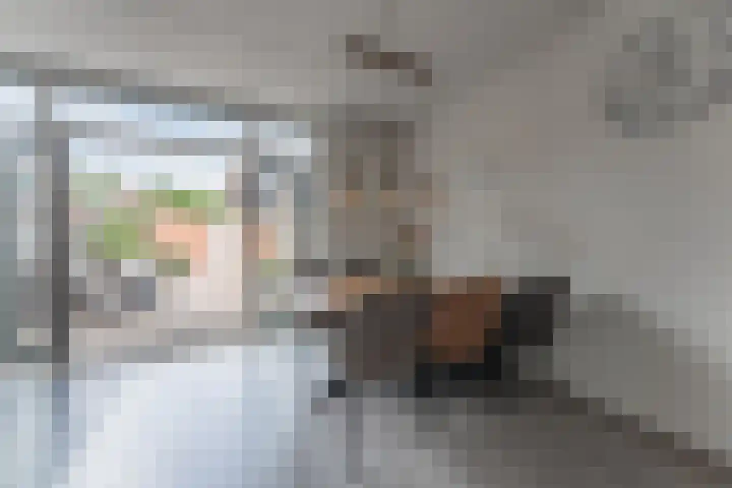 Rode Paard 32 Enkhuizen thumbnail 17