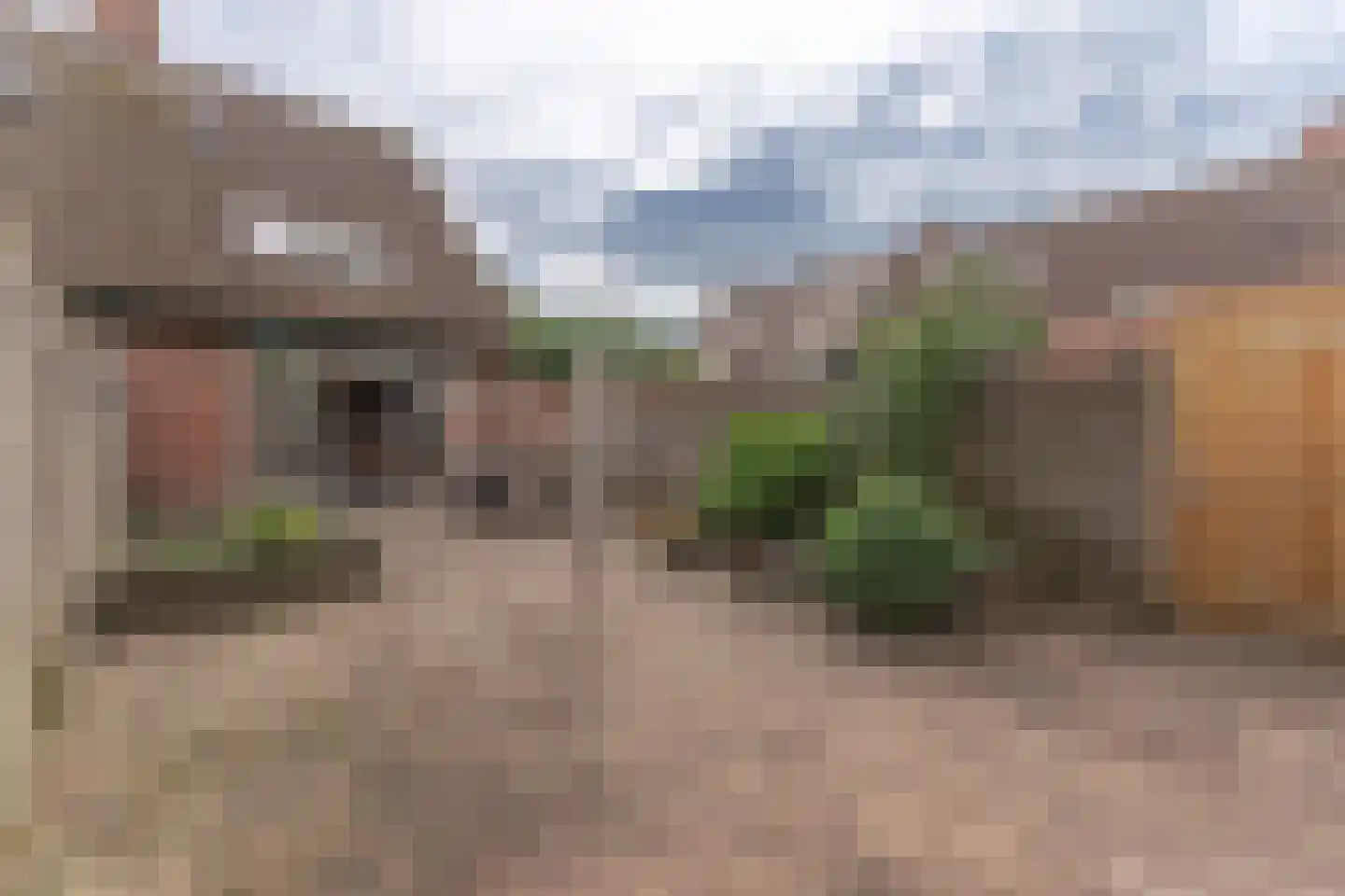 Rode Paard 32 Enkhuizen thumbnail 35