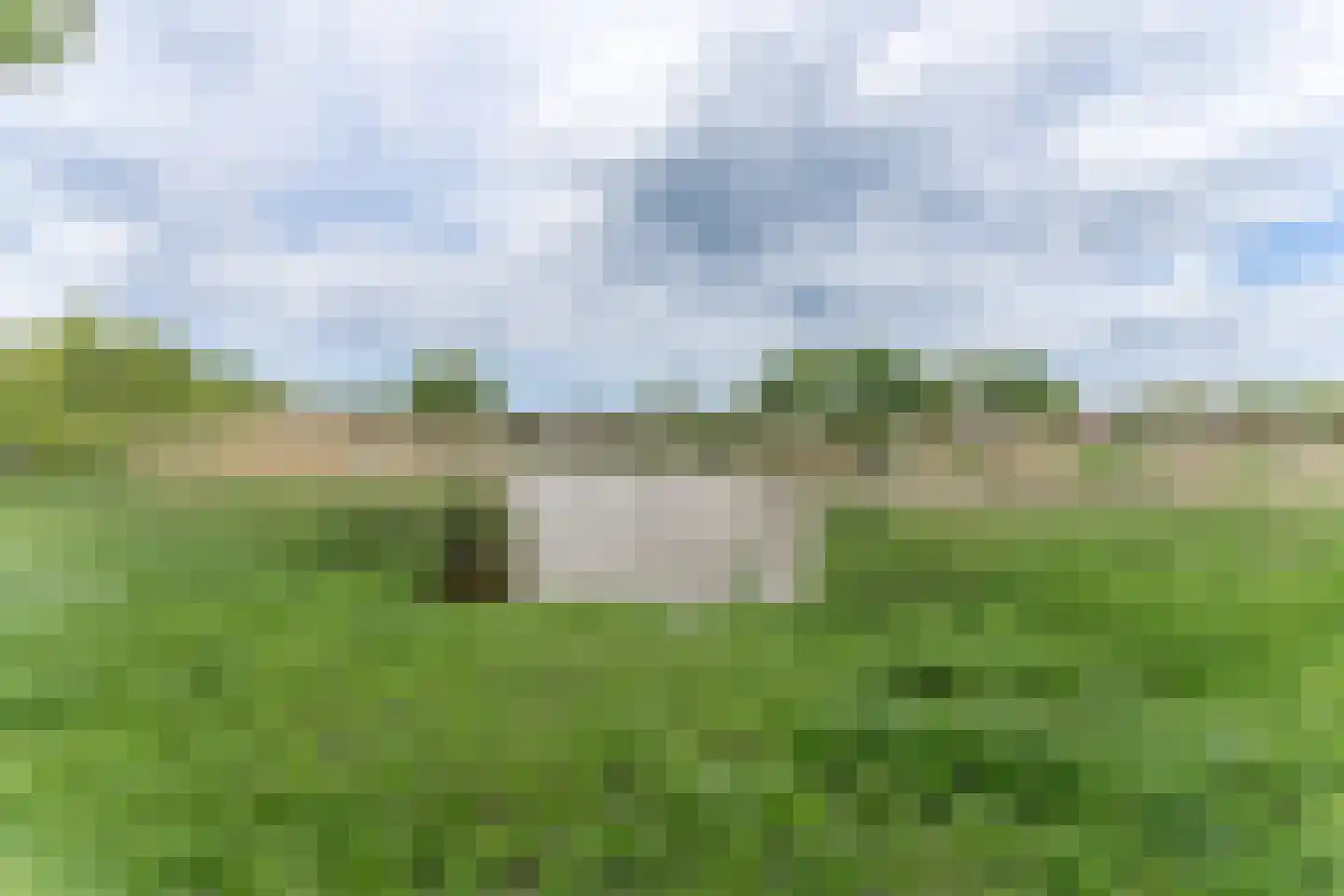 Rode Paard 32 Enkhuizen thumbnail 39