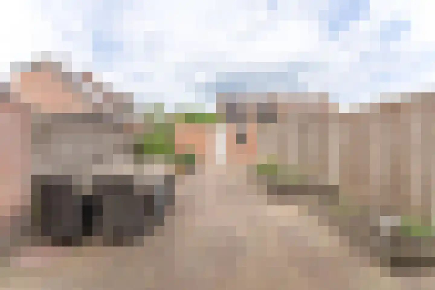 Rode Paard 32 Enkhuizen thumbnail 4