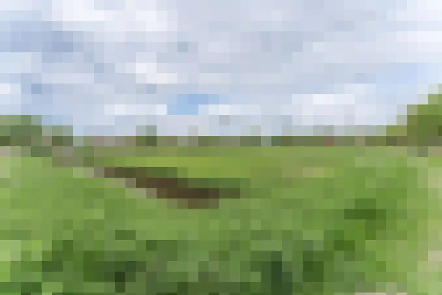 Rode Paard 32 Enkhuizen thumbnail 40