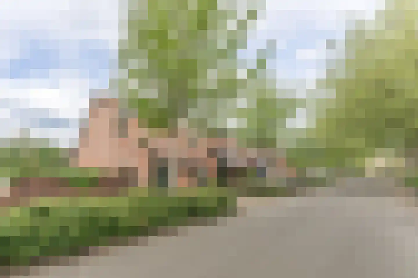 Rode Paard 32 Enkhuizen thumbnail 42
