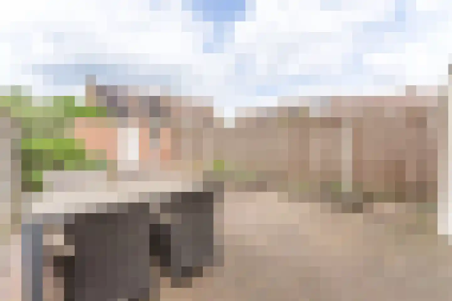 Rode Paard 32 Enkhuizen thumbnail 8