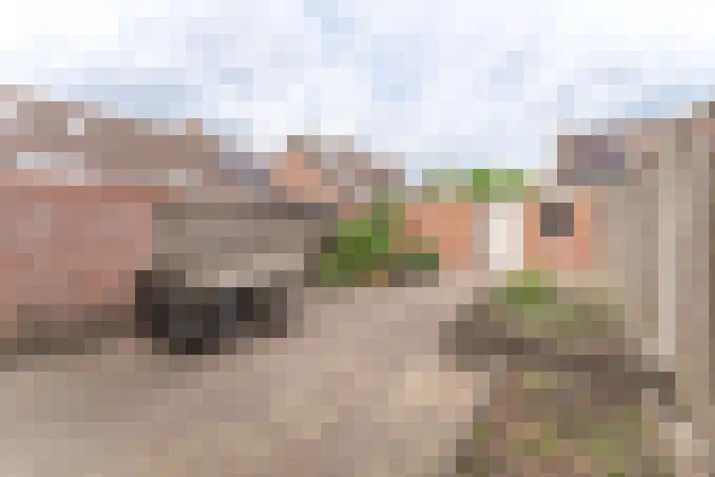 Rode Paard 32 Enkhuizen thumbnail 9