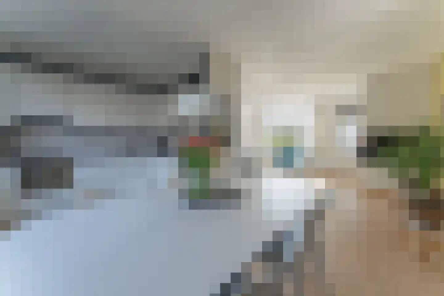 Rode Paard 4 Enkhuizen thumbnail 16
