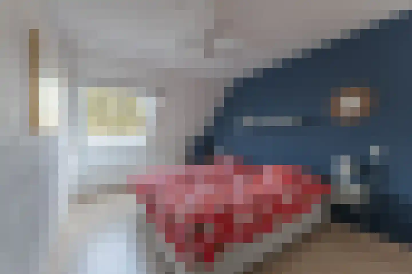 Rode Paard 4 Enkhuizen thumbnail 21