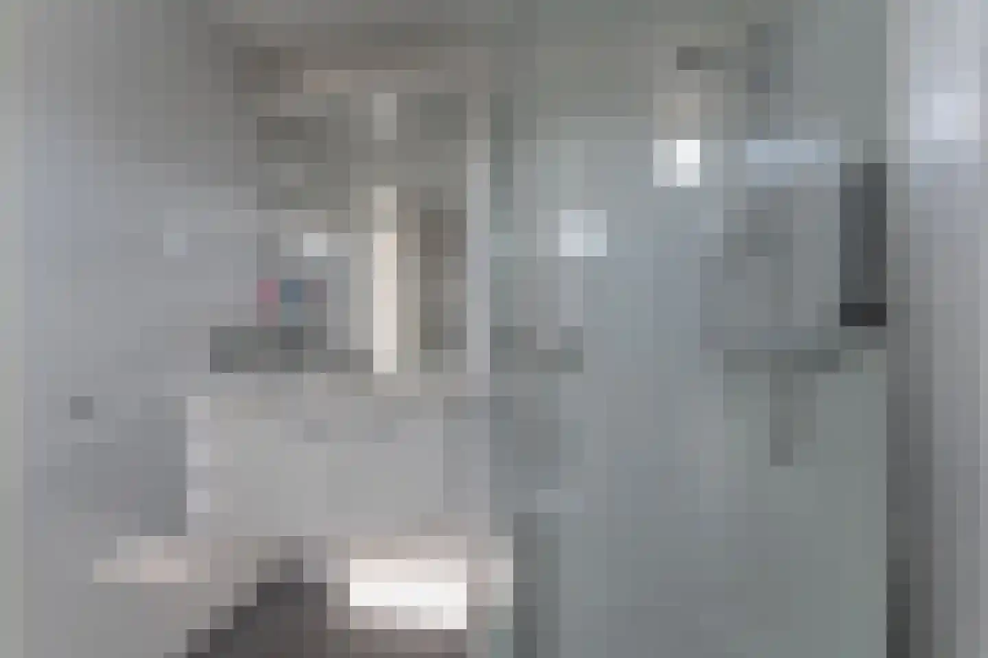 Rode Paard 4 Enkhuizen thumbnail 27